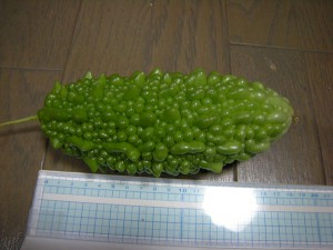 goya080728