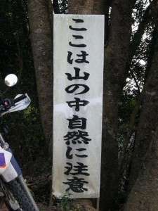 DSCN1282