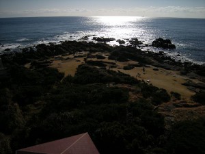 DSCN1321