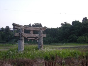 DSCN1865_173