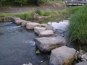 DSCN1872_180-17011