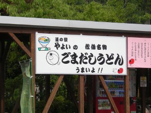 DSCN1889