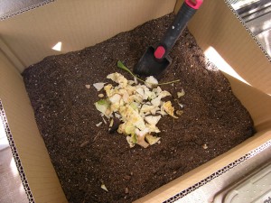compost_003-71c11