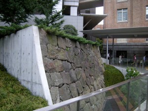 edojo01