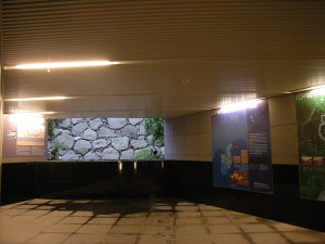 edojo02-66870