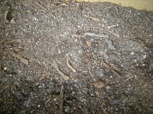 compost01