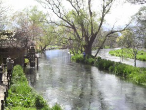 2010-04-24T14_40_32-372de