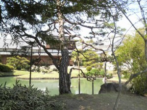 2010-05-01T13_51_20-e3159