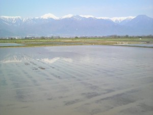 2010-05-02T07_36_07-58b81