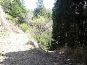 2010-05-08T13-21-41-5ce1d