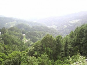 2010-07-25T14-13-29-d4404