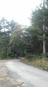 2010-10-24T14-22-23-8fa47
