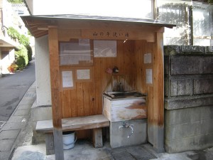 DSCN3546