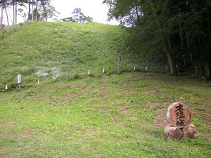 DSCN4509