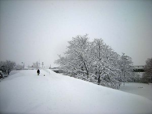 DSCN7975