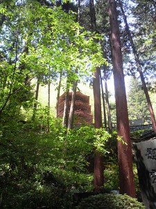P1000019