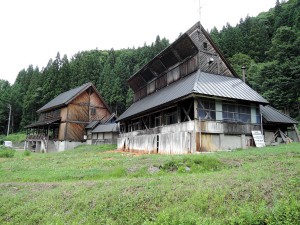 DSCN0065