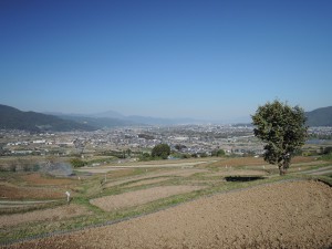 ▲収穫の終わった田んぼは、来年に向けてきれいに耕されていた