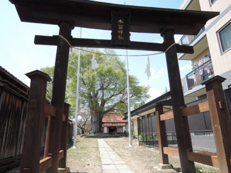 ▲木留神社。境内にはケヤキの巨木がある。火災で燃えた善光寺本堂再建のための木材を留め置いたことが社名の由来という説もある